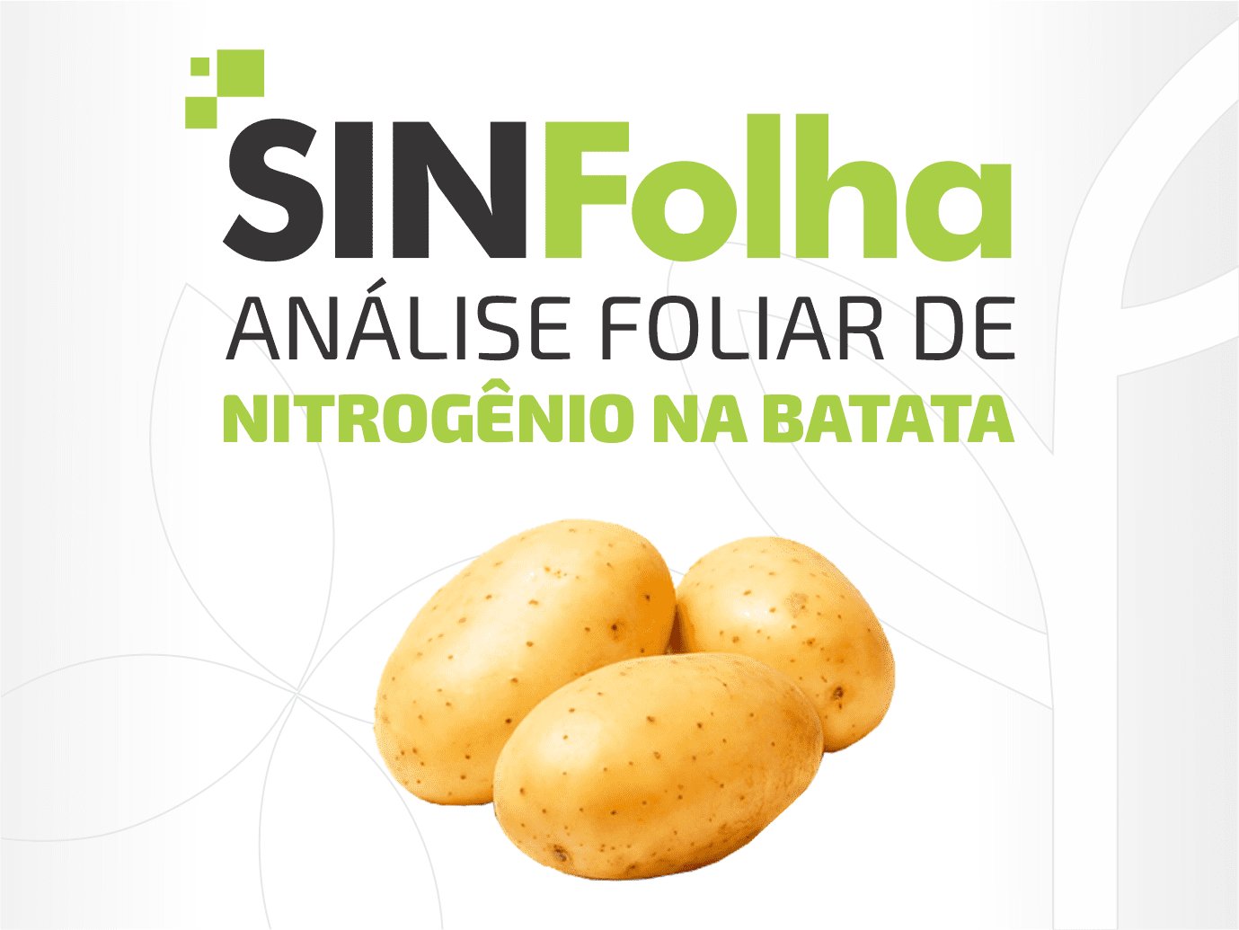 Nitrogênio na Batata